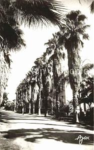 ALGER - MAISON-CARREE - Ecole Nationale d'Agriculture (10)